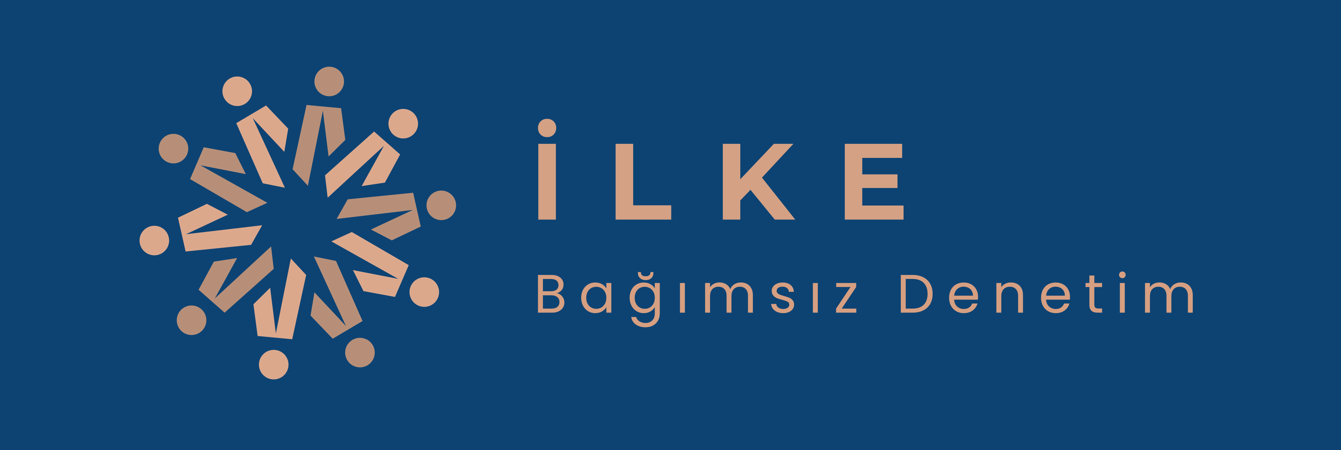 Profesyonel Denetim ve Danışmanlık